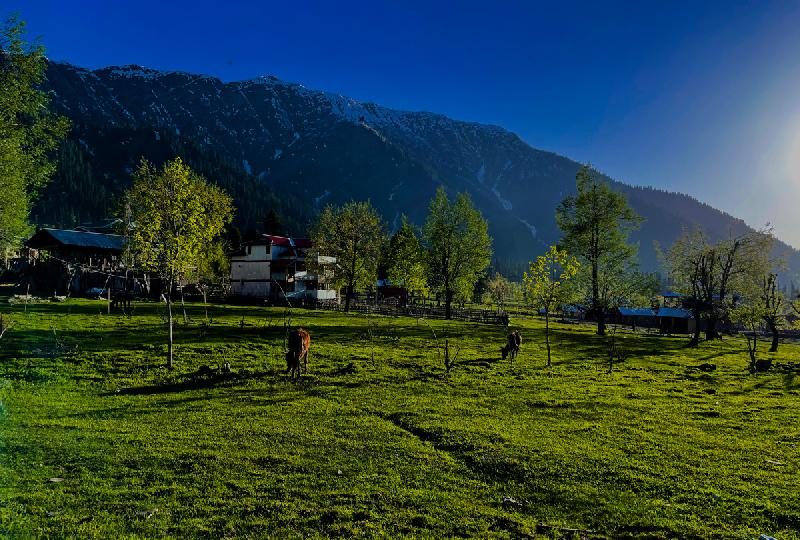 Visit Kashmir