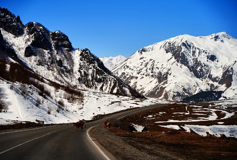 Visit Leh-Ladakh