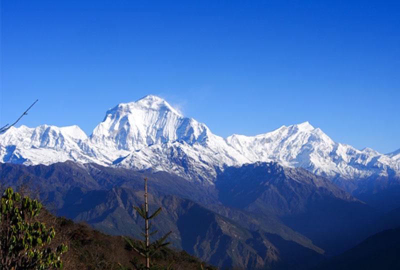 Fascinating Eastern Himalaya